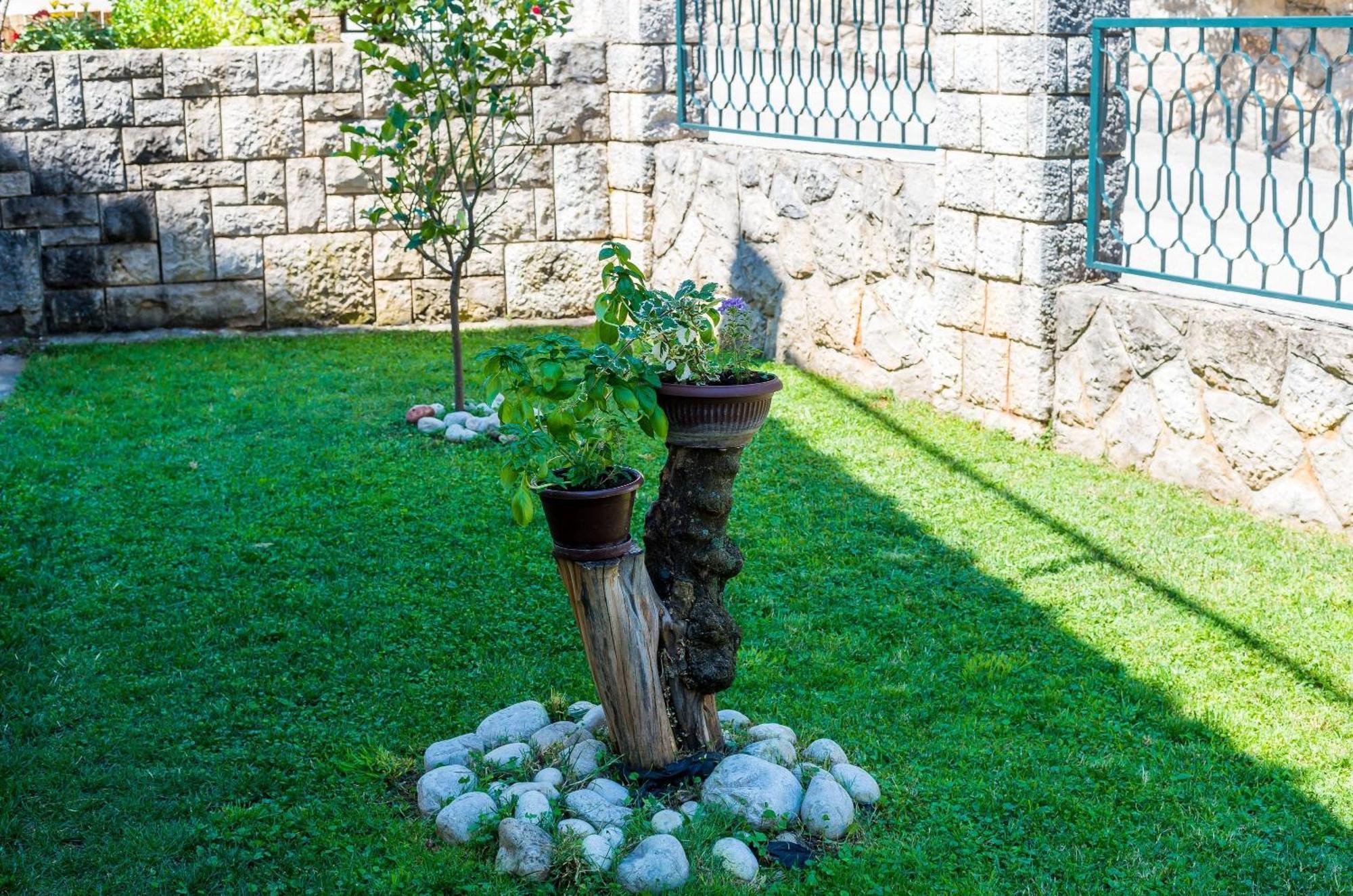 Apartments Garden-Кавтат Екстериор снимка